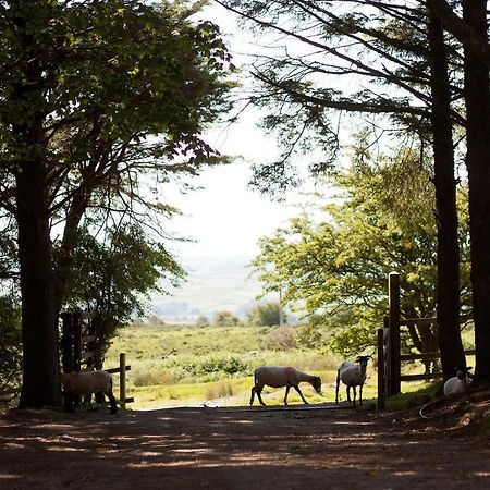 Wheal Tor Hotel & Glamping Liskeard Esterno foto