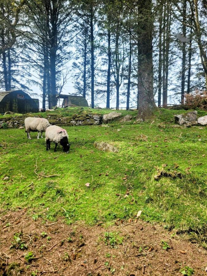 Wheal Tor Hotel & Glamping Liskeard Esterno foto